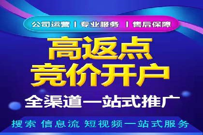 百度推广返点策略：成功案例分享